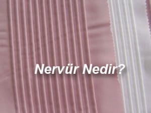 Nervür Nedir